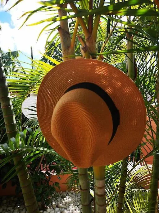Prázdninový dům Wohlfuehloase In Maspalomas Maspalomas