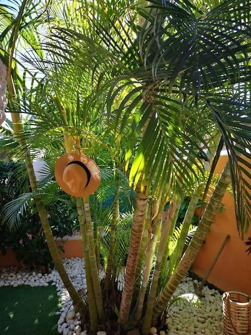 Wohlfuehloase In Maspalomas Maspalomas  Prázdninový dům