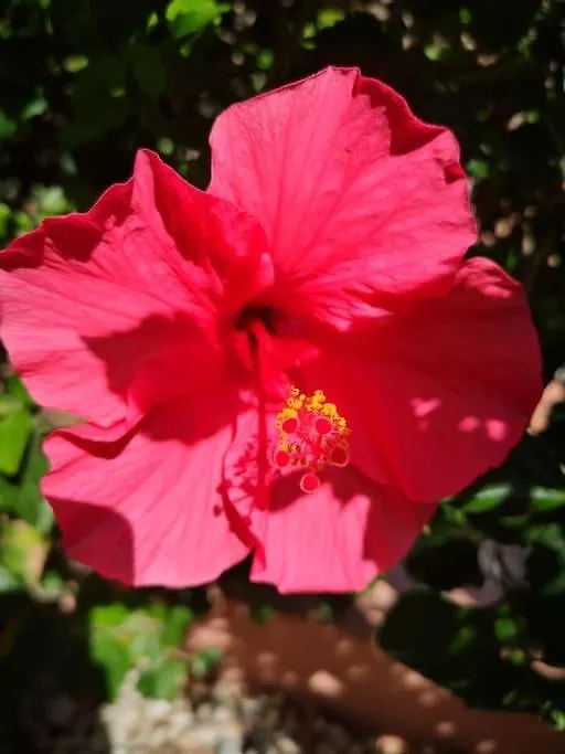 Wohlfuehloase In Maspalomas Maspalomas  Prázdninový dům Maspalomas (Gran Canaria)